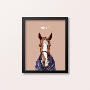 Framed Horse Pet Portraits