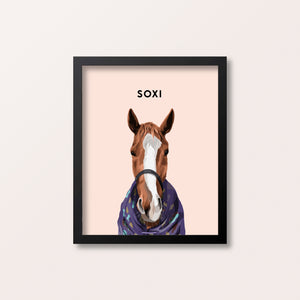 Framed Horse Pet Portraits