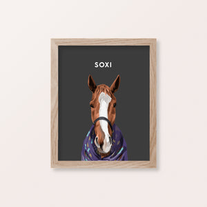 Framed Horse Pet Portraits