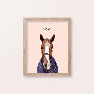 Framed Horse Pet Portraits