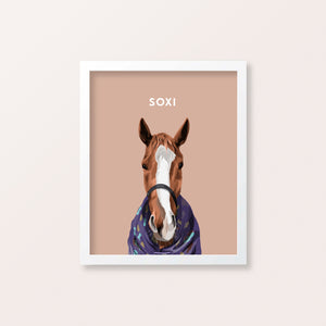 Framed Horse Pet Portraits