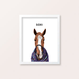 Framed Horse Pet Portraits